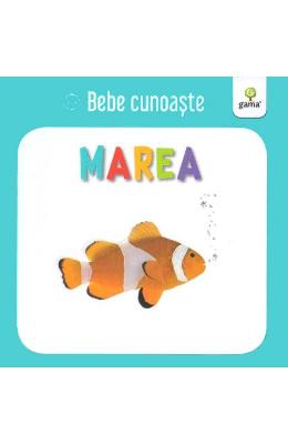 Marea - Bebe cunoaste 1 Marea - Bebe cunoaste