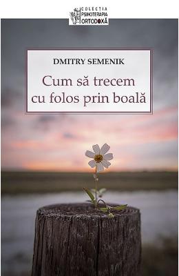 Cum sa trecem cu folos prin boala - Dmitry Semenik 1 Cum sa trecem cu folos prin boala - Dmitry Semenik