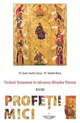 Vechiul Testament in talcuirea Sfintilor Parinti: Profetii mici - Ioan Sorin Usca, Vasile Bora 1 Vechiul Testament in talcuirea Sfintilor Parinti: Profetii mici - Ioan Sorin Usca, Vasile Bora