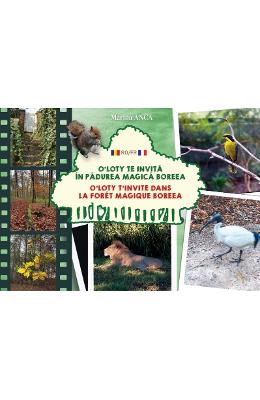 O'Loty te invita in padurea magica Boreea (ro+fr) - Marina Anca 1 O'Loty te invita in padurea magica Boreea (ro+fr) - Marina Anca