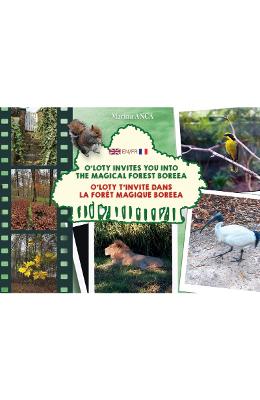 O'Loty invites you into the magical forest Boreea (eng+fr) - Marina Anca 1 O'Loty invites you into the magical forest Boreea (eng+fr) - Marina Anca