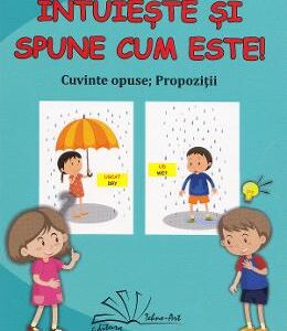 Intuieste si spune cum este!. Jetoane - Daniela Dosa