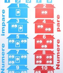 Planse. Matematica. Fise de sinteza (31 fise)