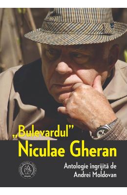 Bulevardul Niculae Gheran - Andrei Moldovan 1 Bulevardul Niculae Gheran - Andrei Moldovan
