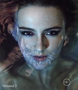 Insula delincventilor Vol.3: Renasterea - Lexi B. Newman