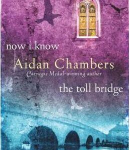 Now I Know/The Toll Bridge - Aidan Chambers