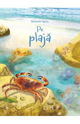 Pe plaja Pe plaja. Usborne