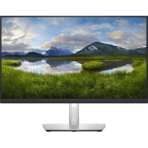 Monitor LED Dell P2422HE, 23.8?, Full HD, USB HUB, DisplayPort, Argintiu