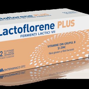 LACTOFLORENE PLUS 12FLACOANE
