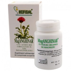 HOFIGAL MAGANGHINAR 60 COMPRIMATE