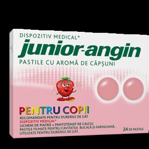 JUNIOR ANGIN 24 PASTILE